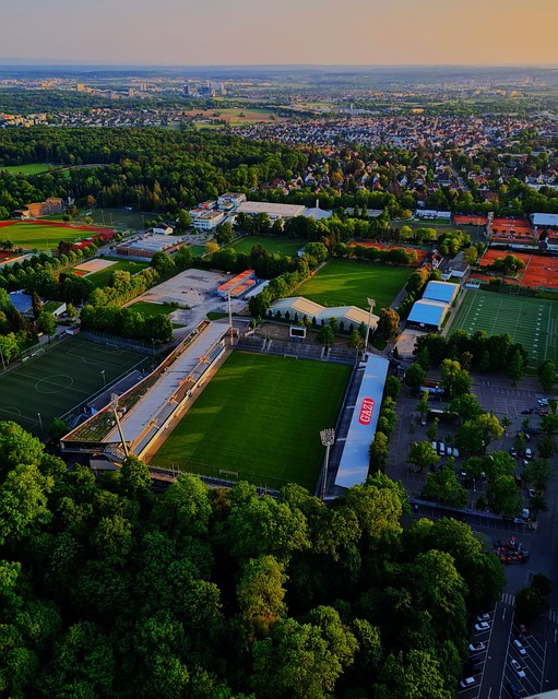 营造良好的 营造良好的