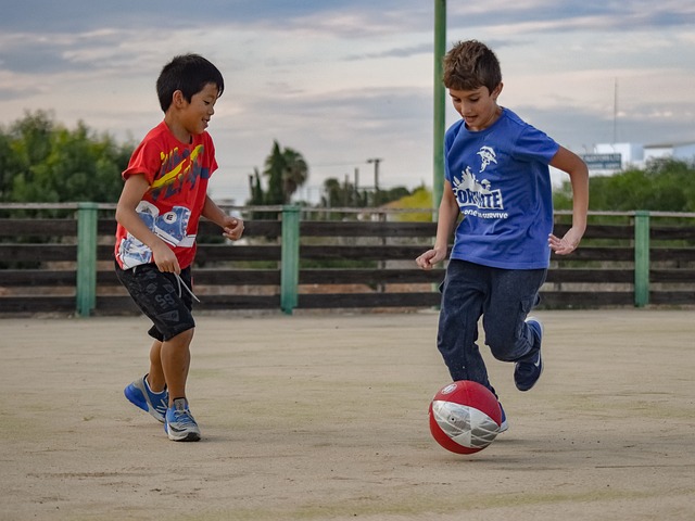 典型升班马 典型升班马