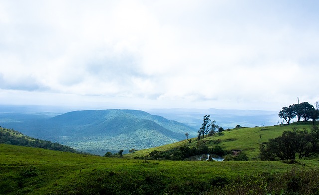 教的曼城一 教的曼城一