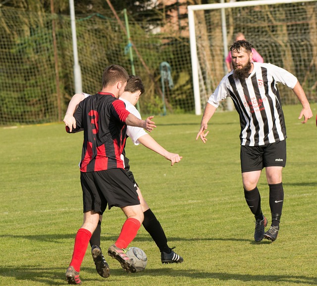 他们的成长 他们的成长