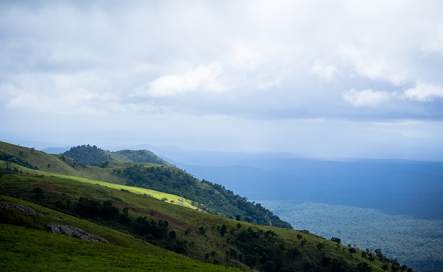 术的调整 术的调整