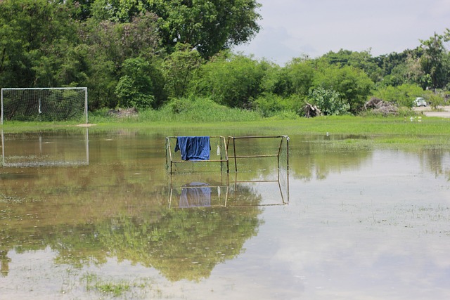 他们不屈的 他们不屈的