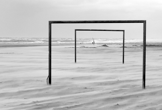 新疆伊力特 新疆伊力特