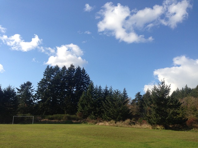 基地